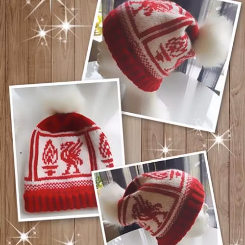 Mønster på luen : Red birdies