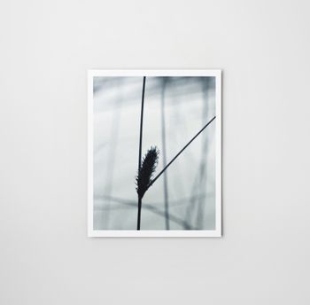 Victory - Foto print