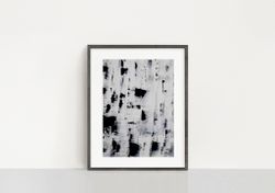 Birches no 211228