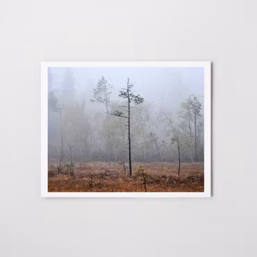 Myren High - Fine Art print