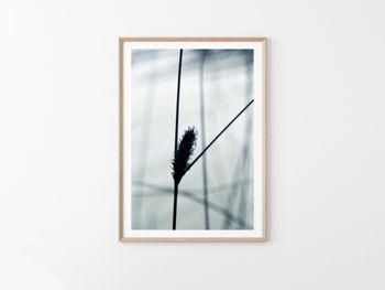 Victory - Foto print