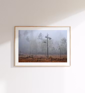 Myren High - Fine Art print