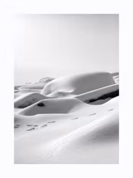 Stenis - Foto Affisch