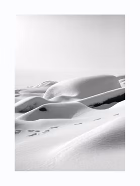 Stenis - Foto Affisch