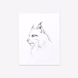 "The Lynx" - Art Print