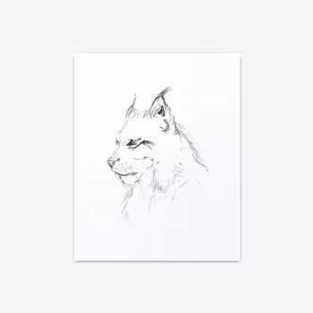 "The Lynx" - Art Print