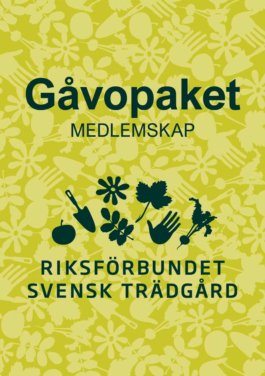 Gåvopaket 1/2-års medlemskap 2026