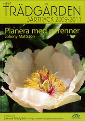 Planera med perenner - särtryck