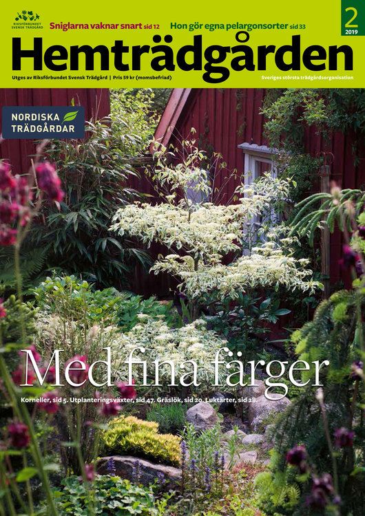 Hemträdgården 2019-2