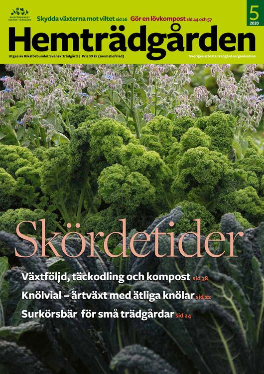 Hemträdgården 2020-5