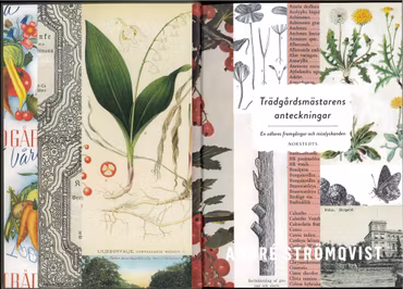 Trädgårdsmästarens anteckningar (bok)