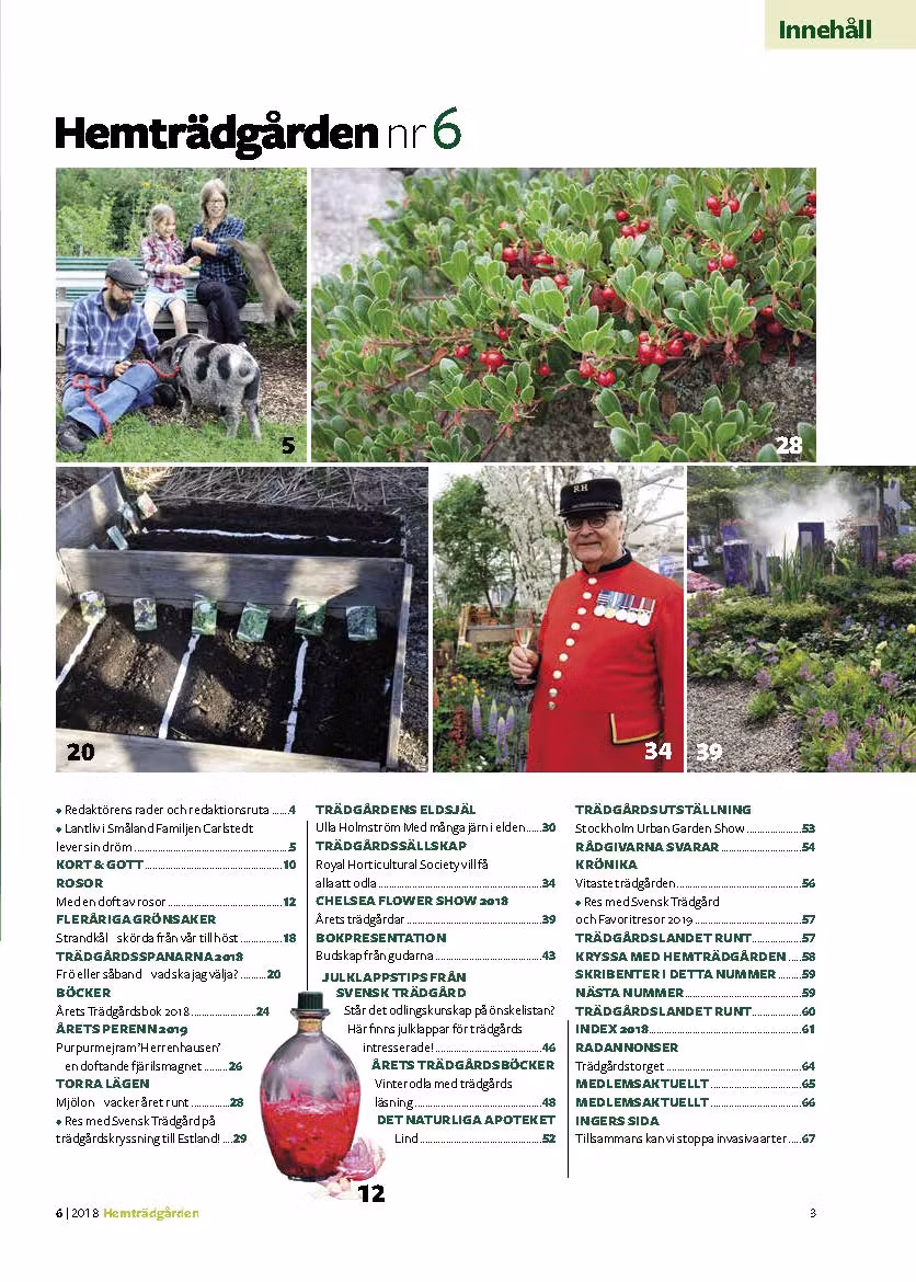 Hemträdgården 2018-06