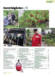 Hemträdgården 2018-06