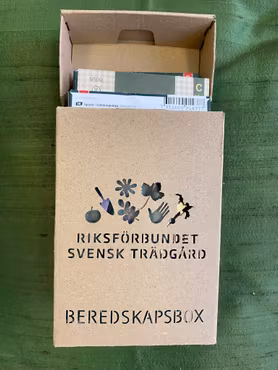 Beredskapsboxen - kartong för fröer