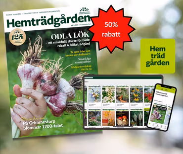 Gåvopaket 1/2-års medlemskap 2025