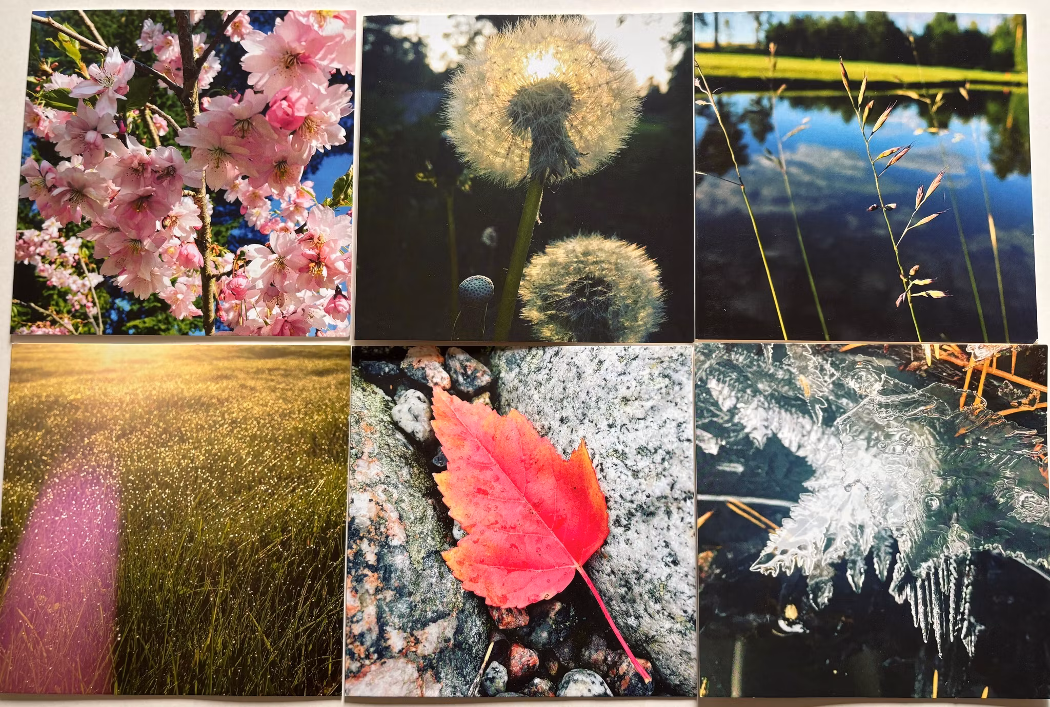 JessieL kort - 6 pack Dubbla kort