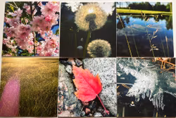 JessieL kort - 6 pack Dubbla kort