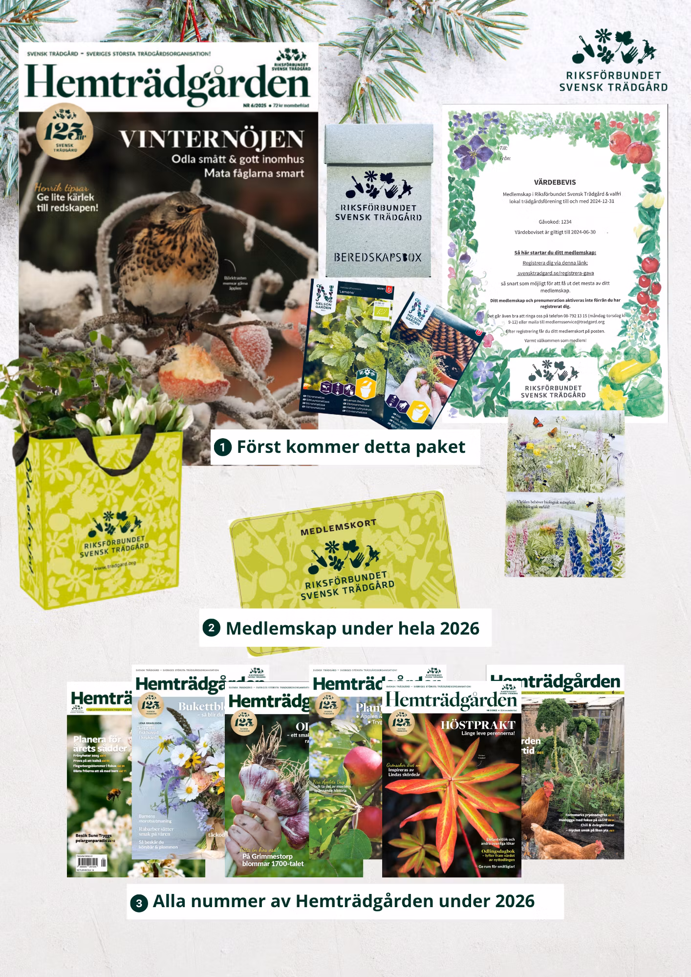 Grönt julpaketet  - medlemskap, trädgårdstidning, extra trädgårdskunskap och fröer