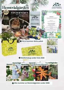 Gröna julpaketet  - medlemskap, trädgårdstidning, extra trädgårdskunskap och fröer