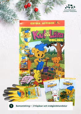 Bamses julpaket