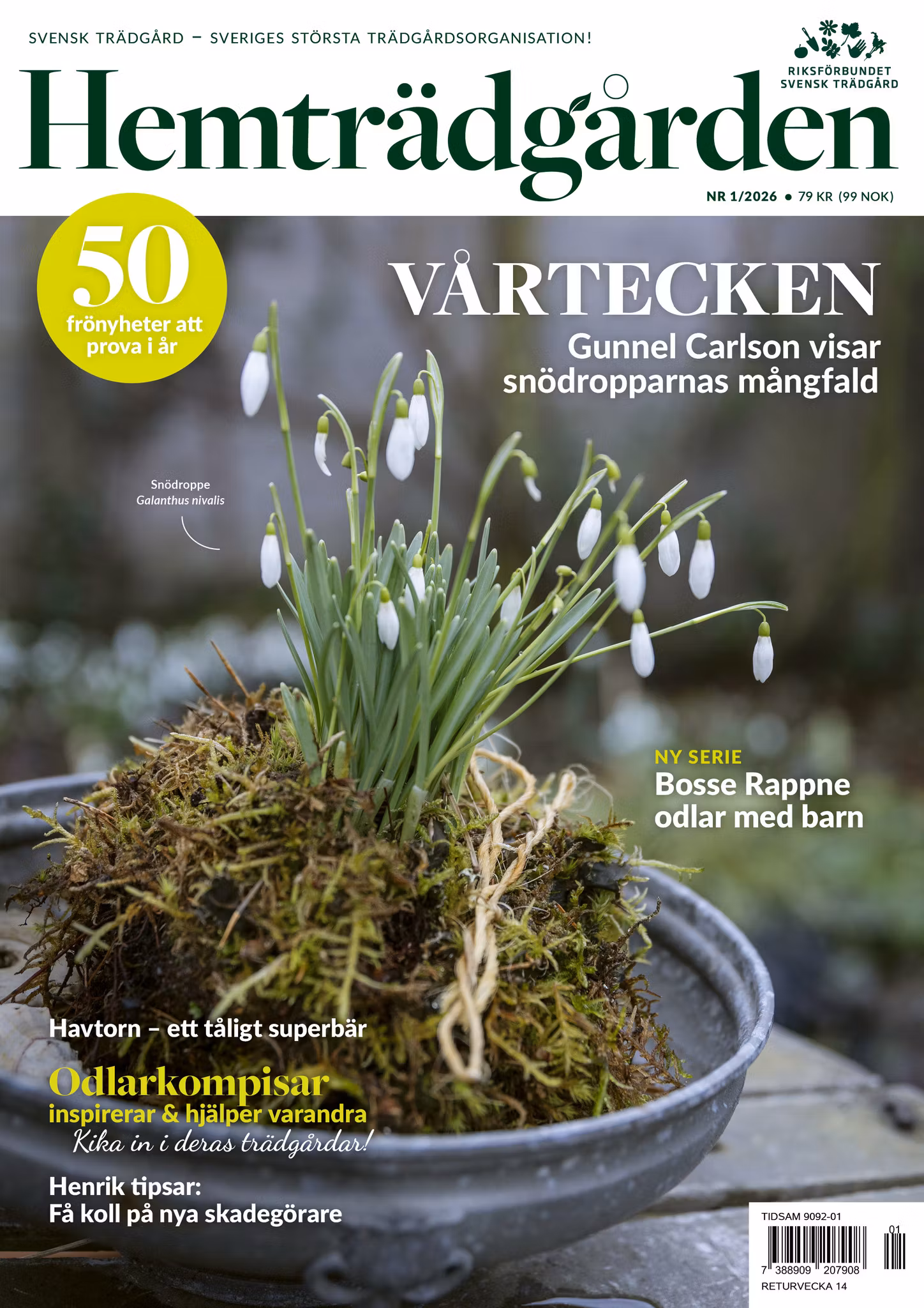 Hemträdgården 2026-01