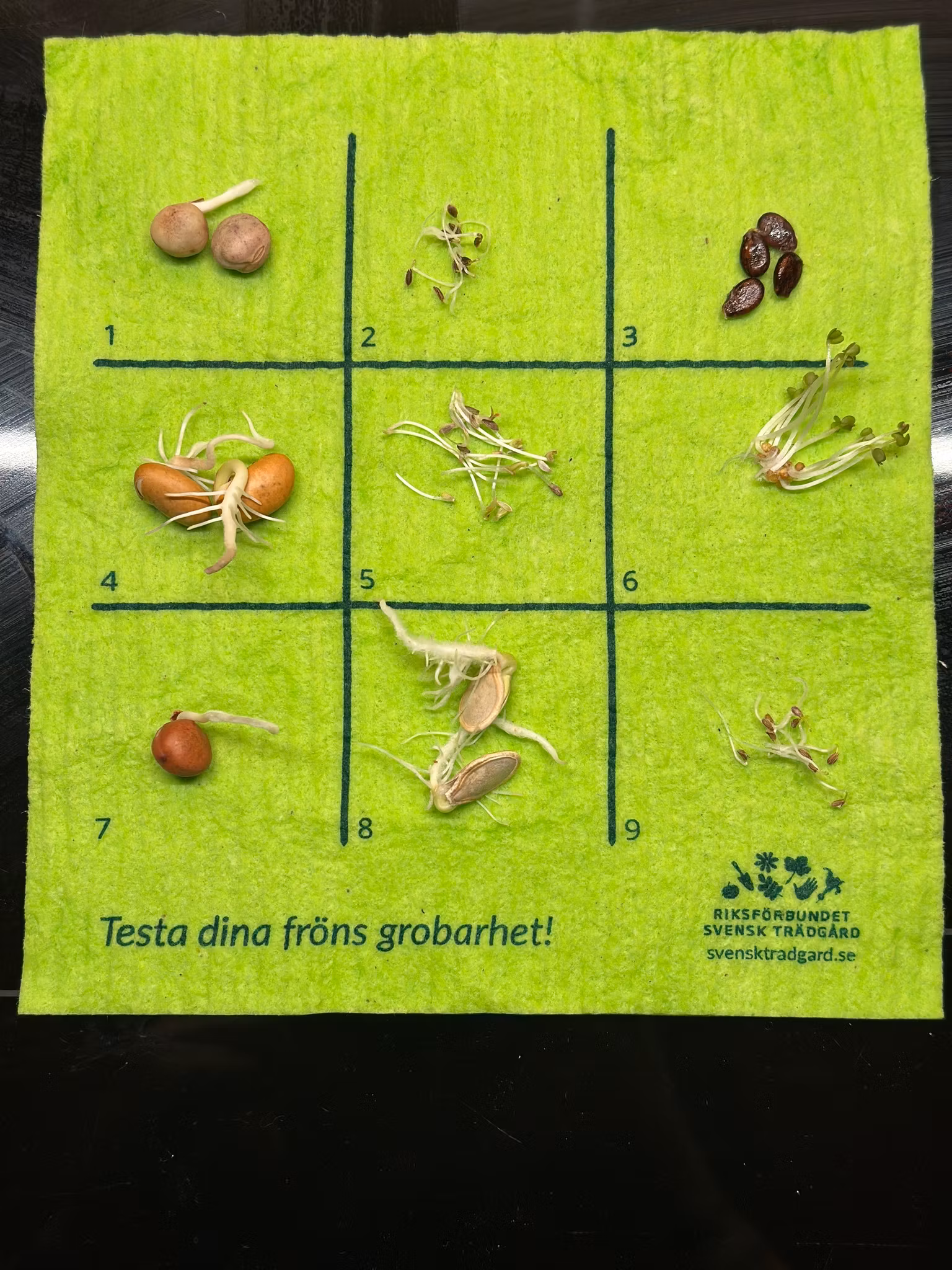 Disktrasa Grobarhetstest