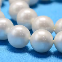 Snäckskalspärlor creme matta 6 mm, 1 sträng