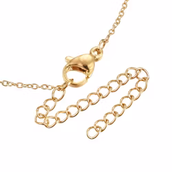 Guldfärgat rostfritt stål halsband rund strass