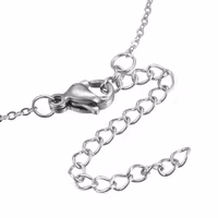 Rostfritt stål halsband stjärna