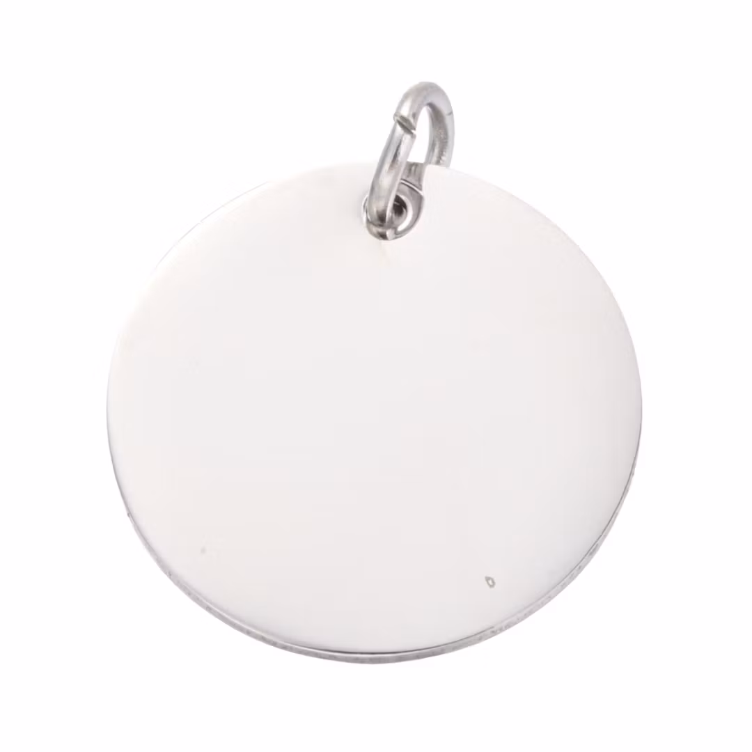 Rostfritt stål hänge rund tag 20 mm, 1 st