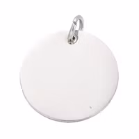 Rostfritt stål hänge rund tag 20 mm, 1 st