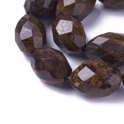 Bronzite bumling, 1 st