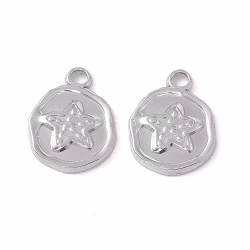 Rostfritt stål rund sjöstjärna, 1 st