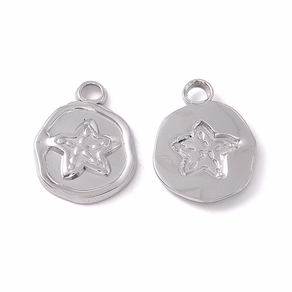 Rostfritt stål rund sjöstjärna, 1 st