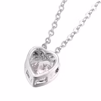 Rostfritt stål halsband Hjärta