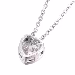 Rostfritt stål halsband Hjärta