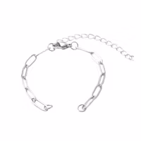 Rostfritt stål Paperclip armbandslänk, 1 st