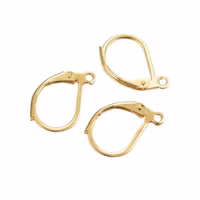 Guldfärgat kirurgiskt stål brisyrer med 24k guldplätering, 10 st