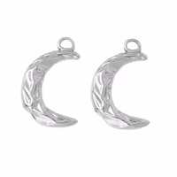 Rostfritt stål hänge måne, 1 st