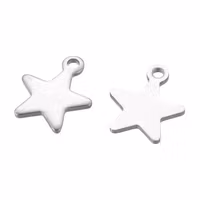Silverfärgat rostfritt stål berlocker små stjärnor, 10 st