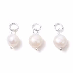 Silverfärgat rostfritt stål berlock sötvatten, 5 st