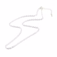 Silverfärgat rostfritt stål kedja 3 mm med klolås 45 cm, 1 st