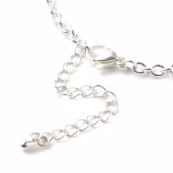 Silverfärgat rostfritt stål armbandskedja 3 mm med klolås, 1 st