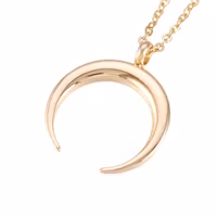Guldfärgat rostfritt stål halsband Crescent Moon med PVD plätering