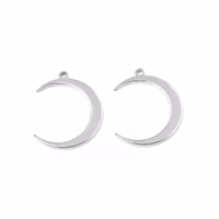 Rostfritt stål hänge månskära, 1 st