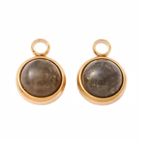 Guldfärgat rostfritt stål berlock labradorit och PVD, 1 st