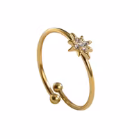 Guldfärgat rostfritt stål ring strasstjärna