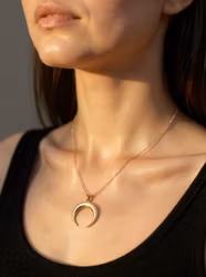 Guldfärgat rostfritt stål halsband Crescent Moon med PVD plätering