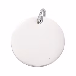 Rostfritt stål hänge rund tag 25 mm, 1 st