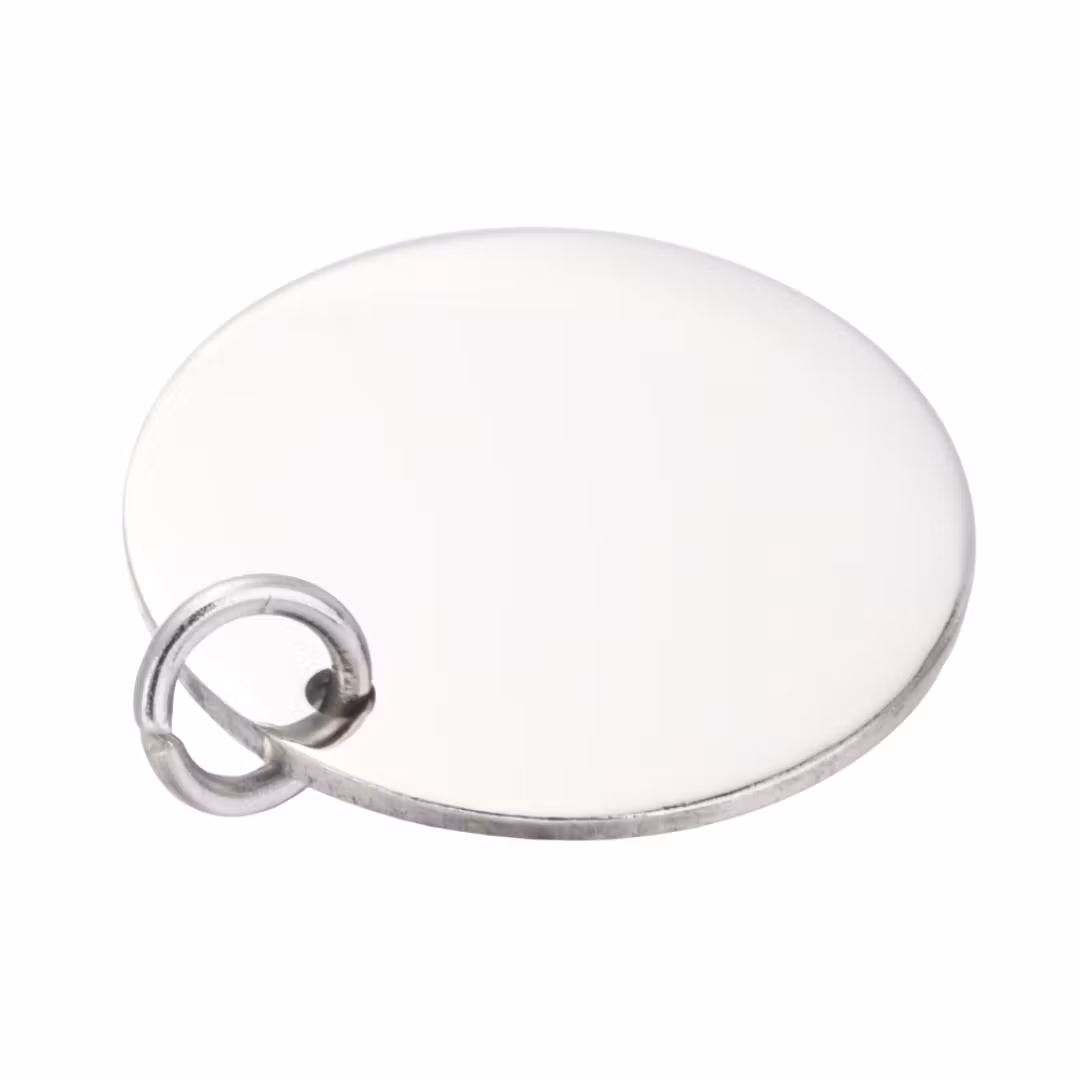 Rostfritt stål hänge rund tag 25 mm, 1 st
